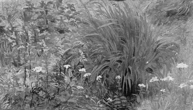 Piante selvatiche ed erba - Statens Museum for Kunst